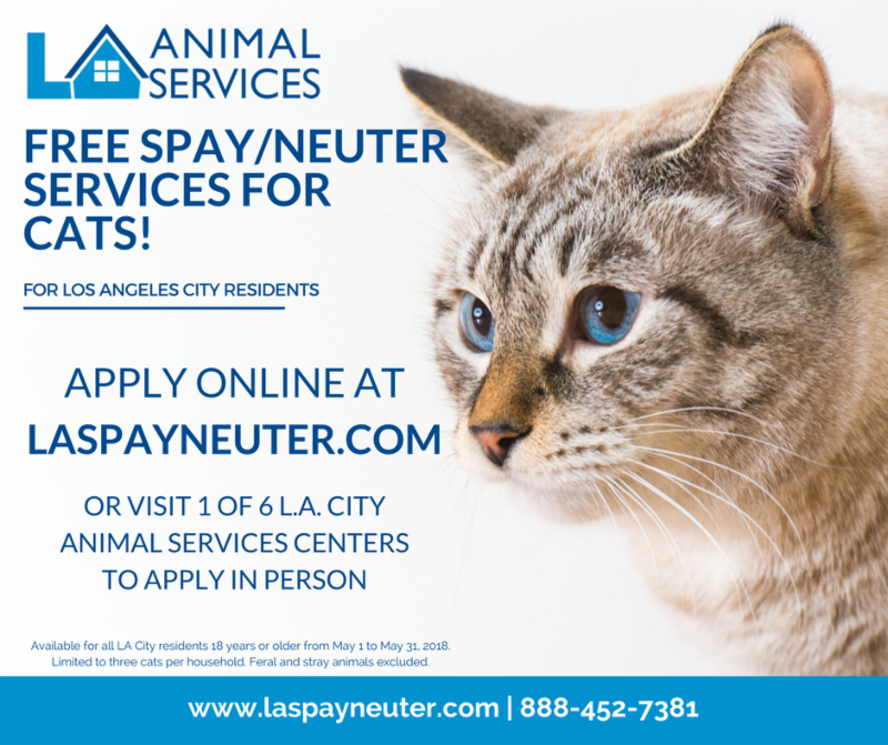 spay