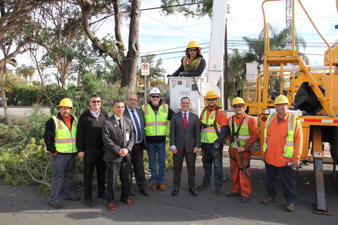 Blumenfield Tree Crew