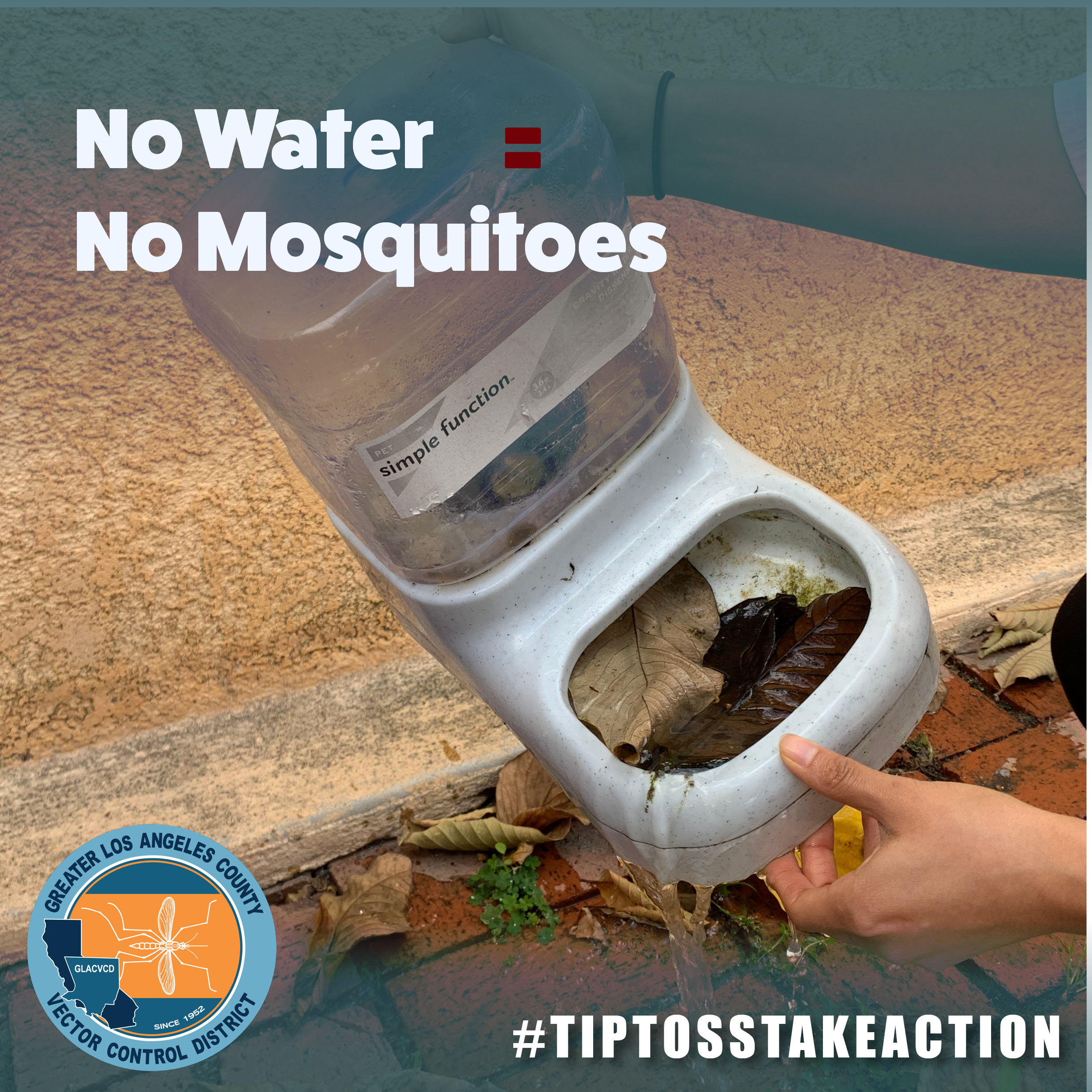 No water no mosquitos