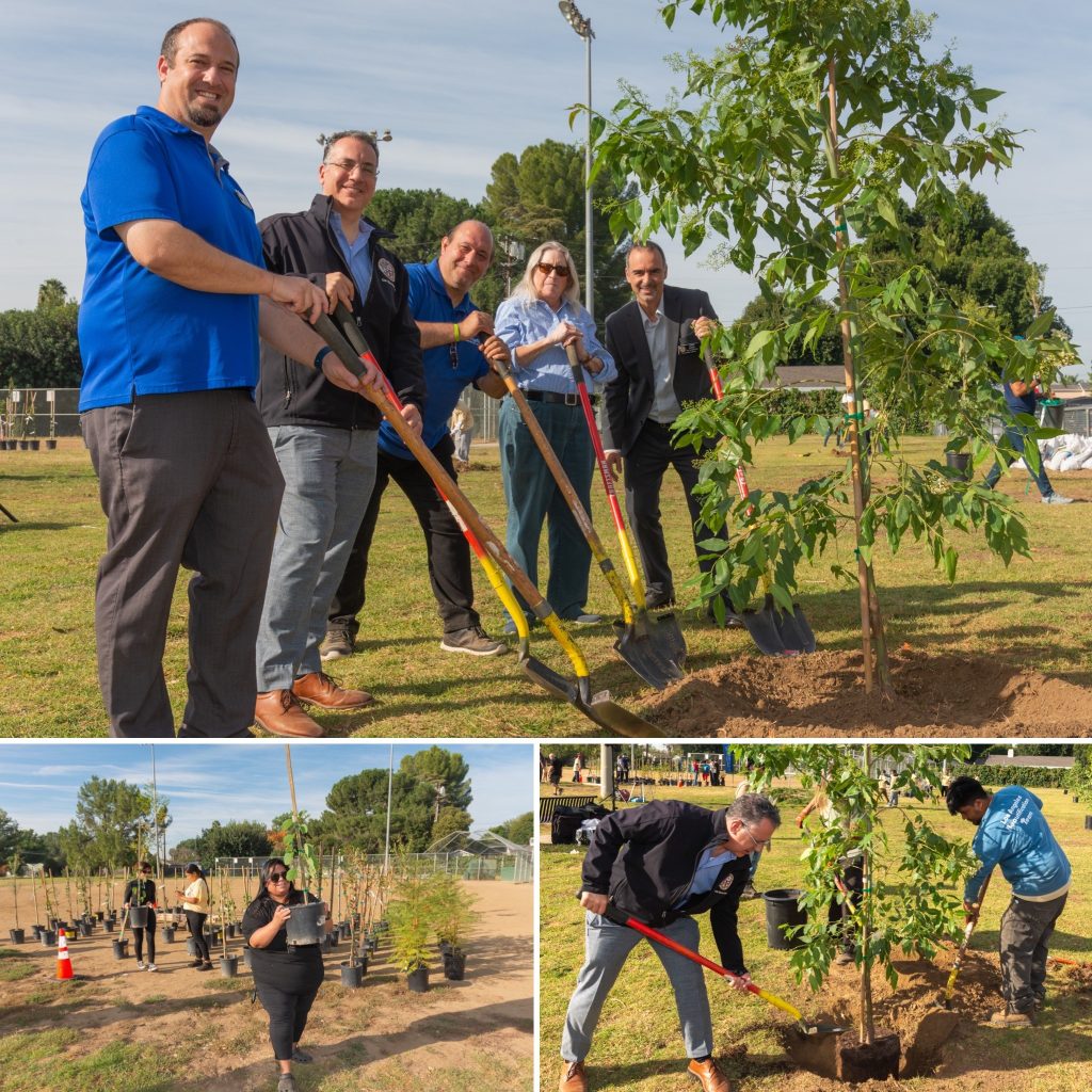 People planting trees