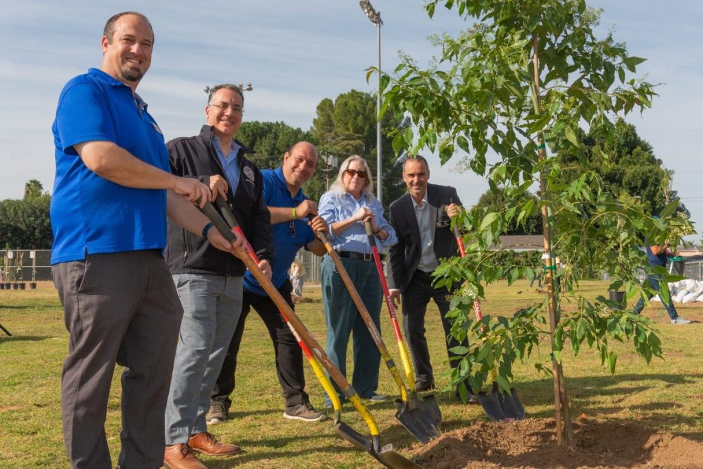Planting trees