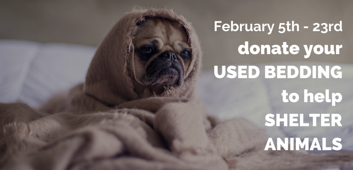 Donate Animal Bedding